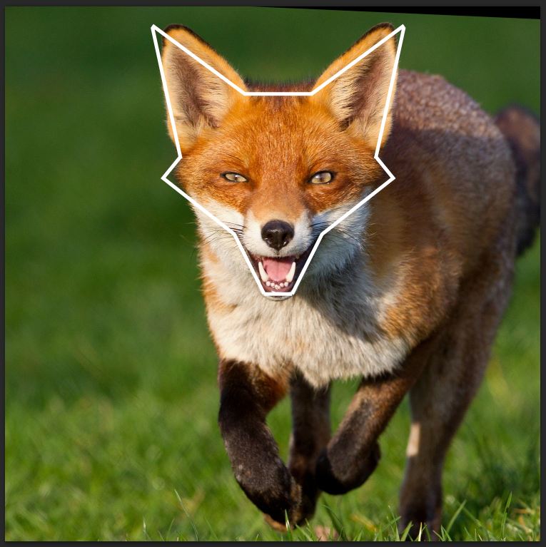 fox logo 2
