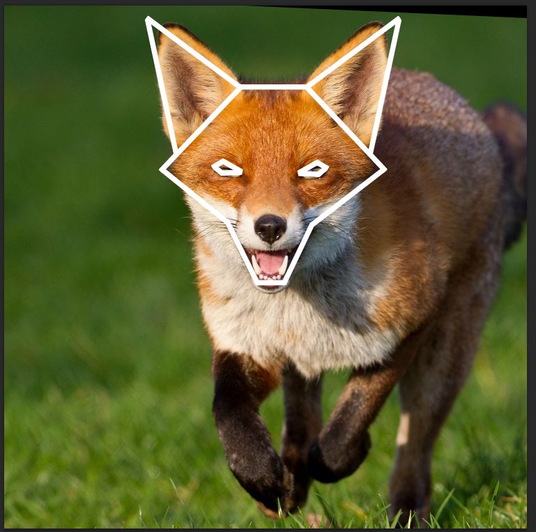 fox logo 3