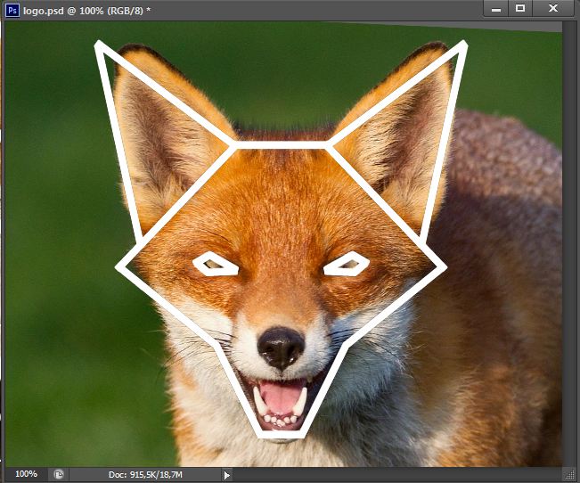 fox logo 5